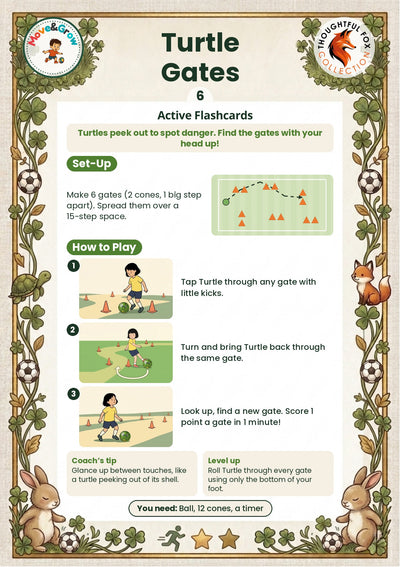 Turtle activity 6: Gates
