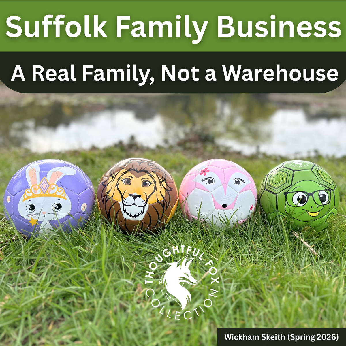Turtle Football – Size 3 | Premium TPU Kids Ball | Thoughtful Fox