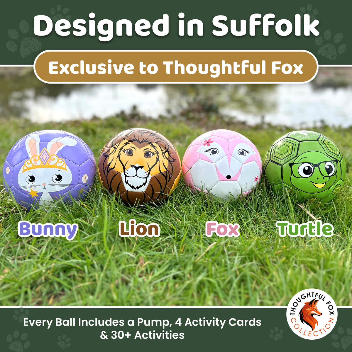 Bunny, Lion, Fox and Turtle footballs on grass