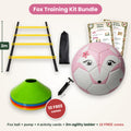 Fox football training kit bundle with 2m agility ladder, pump, activity cards and 10 free cones