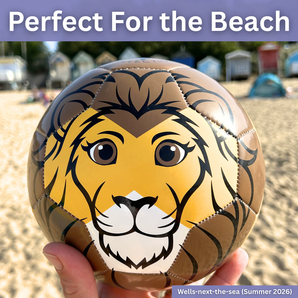 Thoughtful Fox Lion TPU Football Size 3 - Pump, 4 Cards & 28 Online Games