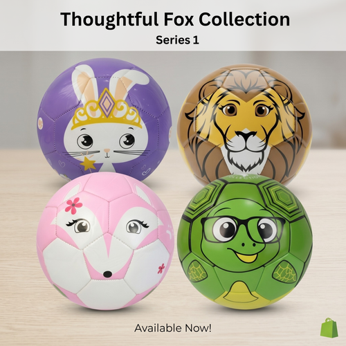 Thoughtful Fox Set of 4 Size 3 TPU Footballs (Fox, Turtle, Lion, Bunny)