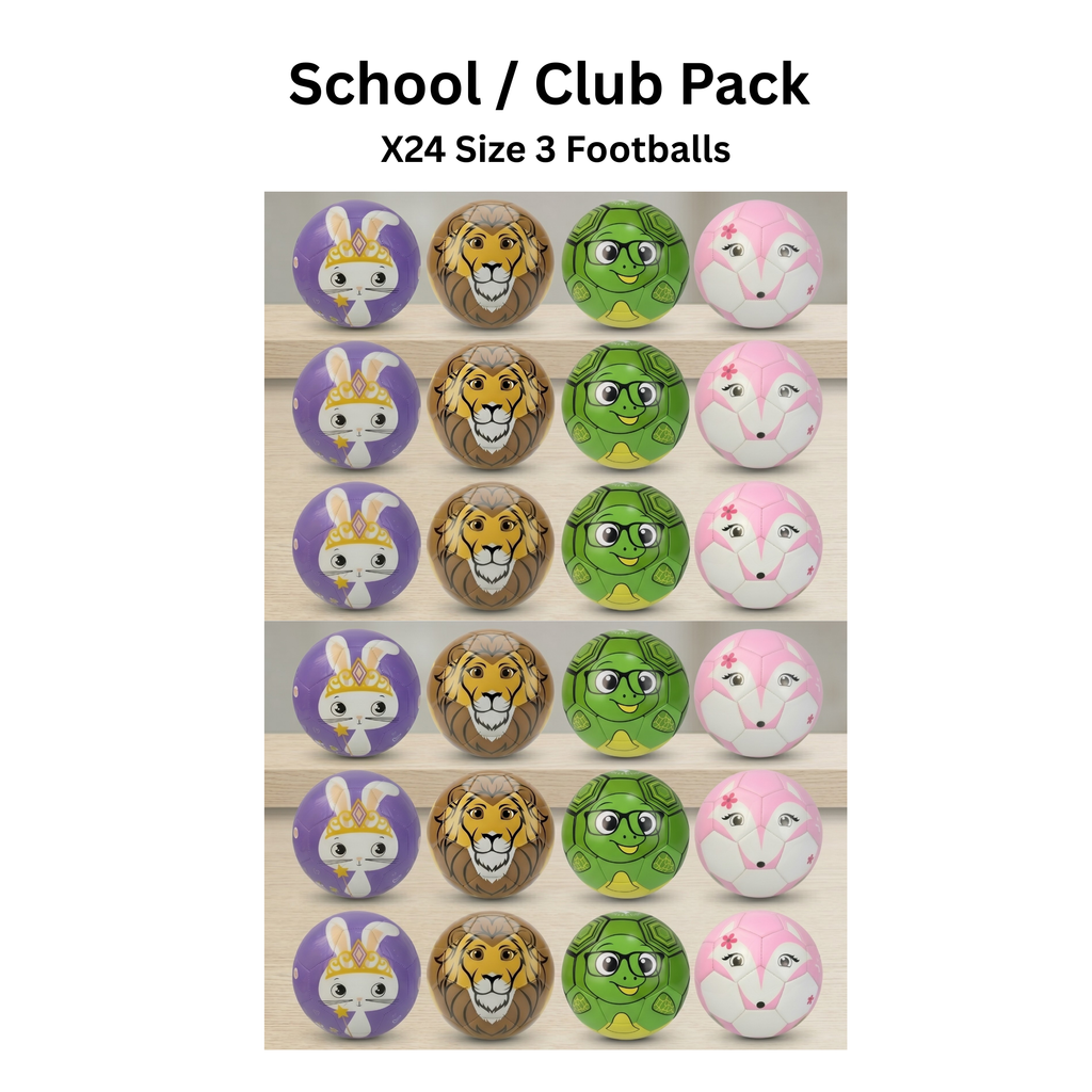 24 MultiPack - Size 3 Footballs
