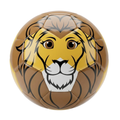 Thoughtful Fox Size 3 Kids TPU Football - Brave Lion Soft Touch Ball with 20+ Activities & Hand Pump